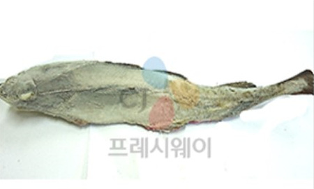 동태(300~500g/마리 KG)/러시아산