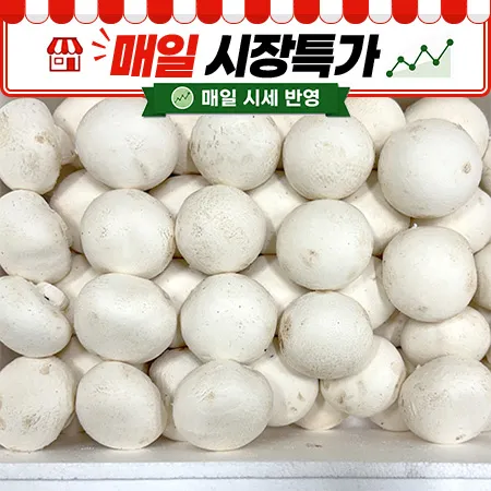 ★매일시장특가★ 양송이버섯(상 2Kg/BOX)