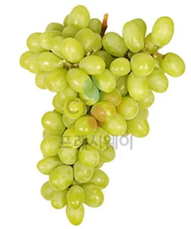 씨없는청포도(1Kg/EA)N/미국산