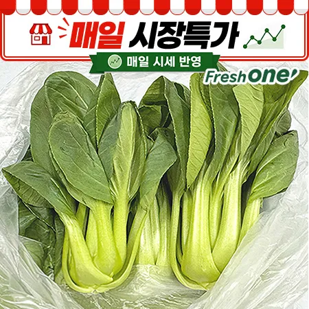 ★매일시장특가★ 프레시원 청경채(상 500g/EA)