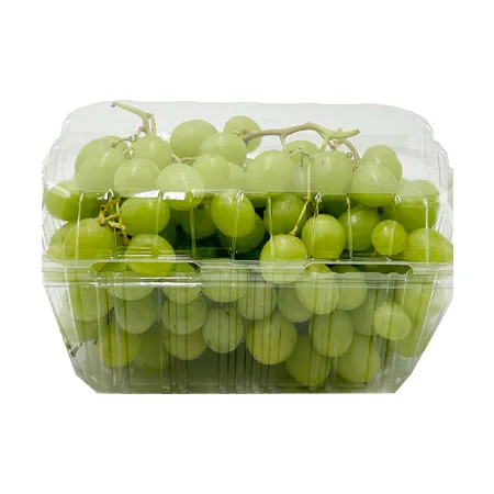 ★매일시장특가★ 씨없는 청포도 (1Kg내외) 초특가 과일 포도 이미지