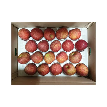 사과(상품 36~40입 10Kg/BOX)/국내산