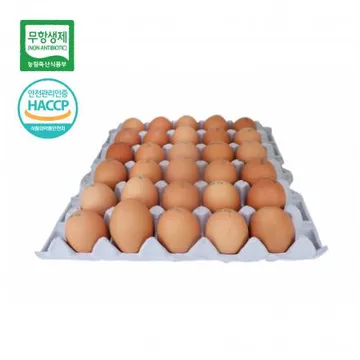 계란(무항생제_특란_60g*30입 1.8Kg/PAC)/국내산