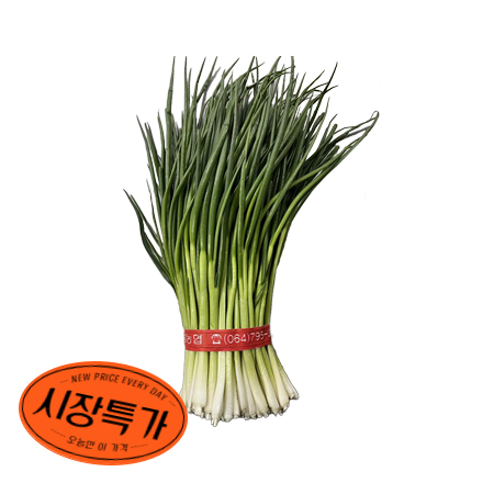★매일시장특가★ 깐쪽파(1단 1Kg/EA) 쪽파 쪽파