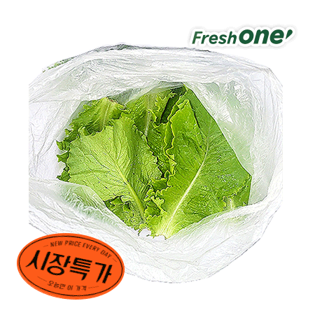 ★매일시장특가★ 청상추(상 500g/EA) 상추 초특가 채소 야채