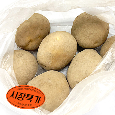 ★매일시장특가★ 프레시원 감자 특 1Kg (100g이상/개)
