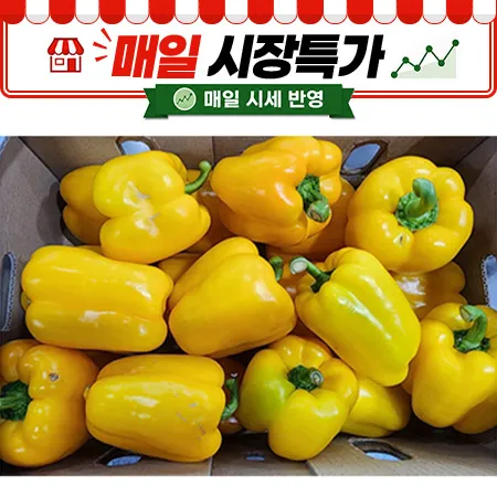 ★매일시장특가★ 노랑파프리카 실속 5Kg/BOX  못난이