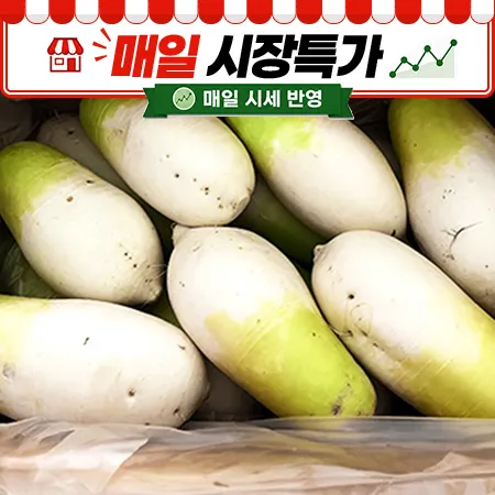 ★매일시장특가★ 무우( 12-14수내외 18kg/BOX) 무