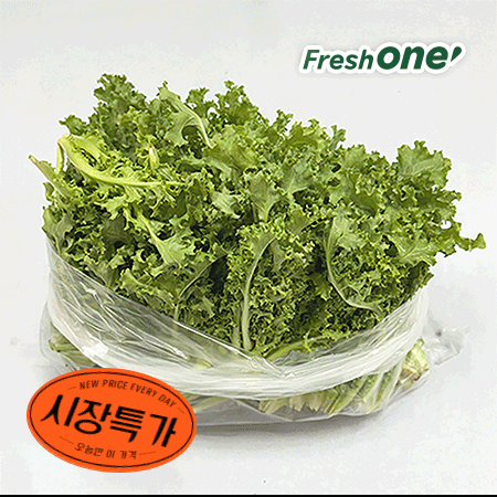 ★매일시장특가★ 치커리(상 500g/EA) 초특가 채소 야채