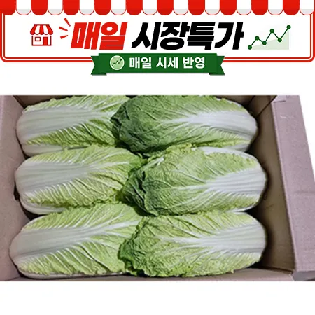 ★매일시장특가★ 알배기배추 (실속 12-16입 내외/BOX)
