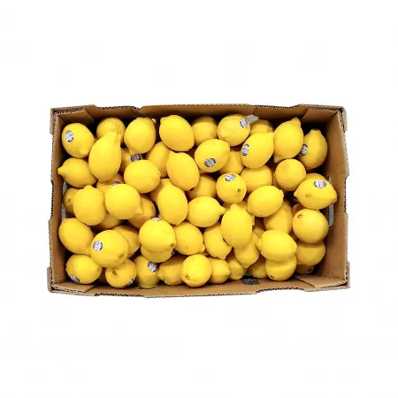 레몬 (140과 16Kg/BOX)