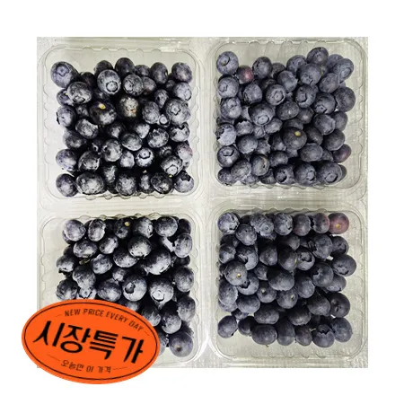 ★매일시장특가★ 생 블루베리(125g*4입 500g/EA) 과일 초특가 생과 특가