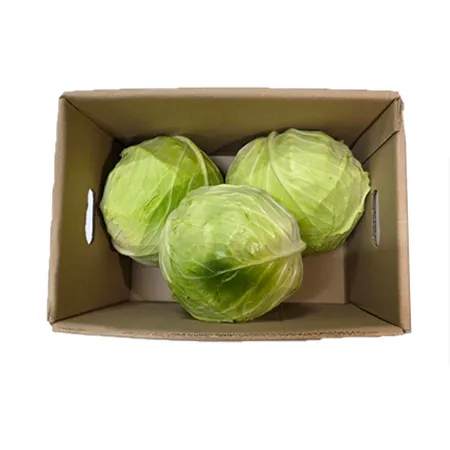 ★매일시장특가★ 양배추(겉잎제거_2~3입 6Kg/BOX) 이미지