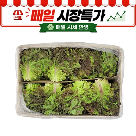 ★매일시장특가★ 꽃상추 (상 4Kg/BOX)