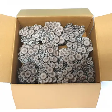 이츠웰 느타리버섯(상품_다발 친환경 2Kg/BOX)/국내산