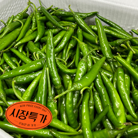 ★매일시장특가★ 청양고추(특 10Kg/BOX) 고추 매운고추 땡초 초특가 채소 야채 고추 청양