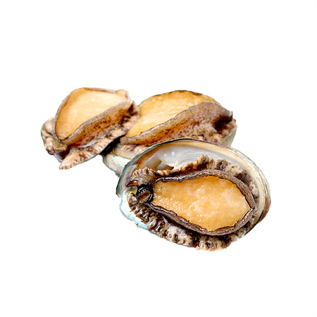 전복(5마리입 500g/EA)/국내산