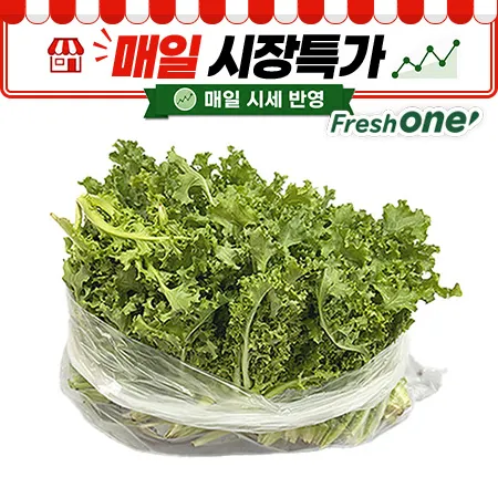★매일시장특가★ 프레시원 치커리(상 500g/EA)
