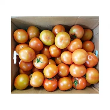 토마토(완숙_25~33과 5Kg/BOX)/국내산