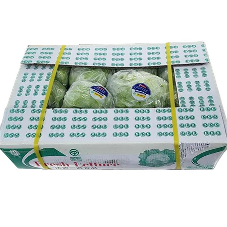양상추 (12입, 수입산, BOX)