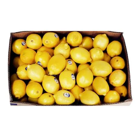 레몬(팬시 140과 17Kg/BOX)/미국산 이미지