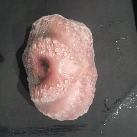 문어(자숙_600-800g 600g/EA) 이미지