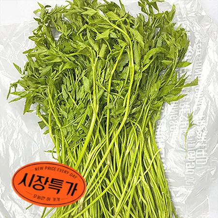 ★매일시장특가★ 프레시원 돌미나리(상 500g/EA) 초특가 채소 야채 미나리