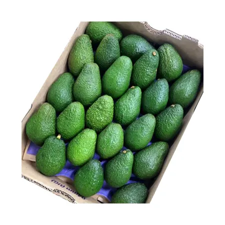 ★매일시장특가★ 아보카도(30과 5.5Kg/BOX) 이미지