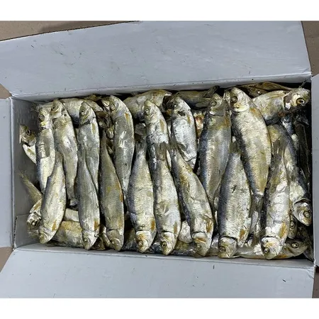 디포리(1.5Kg/BOX)