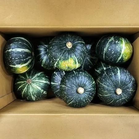 단호박 (강서시장, 10수내외 10Kg/BOX)