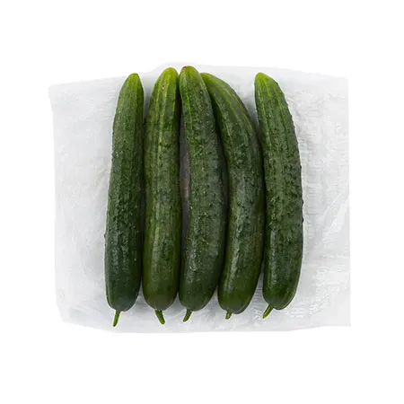 취청오이(상품 10Kg/BOX)