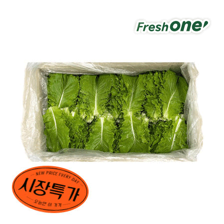 ★매일시장특가★ 청상추(국내산 상 4Kg/BOX) 상추 초특가 채소 야채