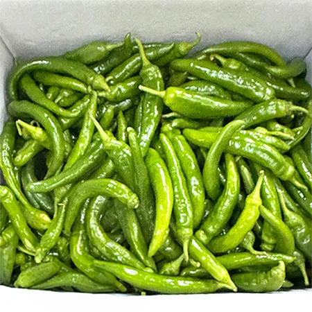 ★매일시장특가★ 아삭이고추(상 10KG/BOX) 오이고추 이미지