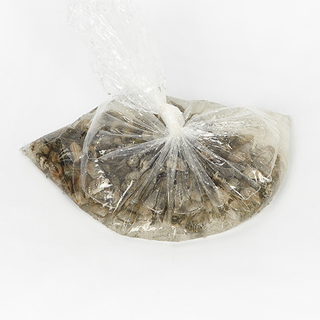 바지락(생물_부분해감 1Kg/EA)