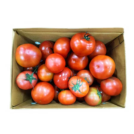 [반품불가]주스용 토마토 5KG BOX, 사이즈 무선별