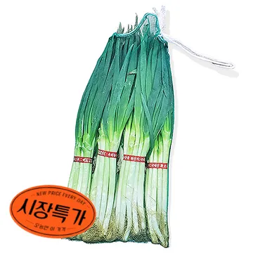 ★매일시장특가★ 흙대파 10단/망 대파