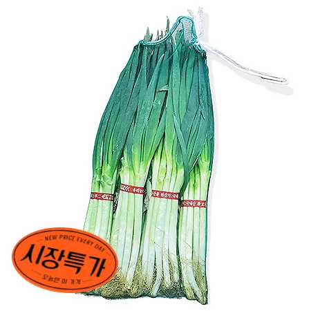 ★매일시장특가★ 흙대파 10단/망 대파