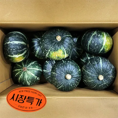 ★매일시장특가★ 단호박 (10수내외 10Kg/BOX)