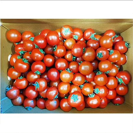 ★매일시장특가★ 방울토마토(15~20g/개 5Kg/BOX) 이미지