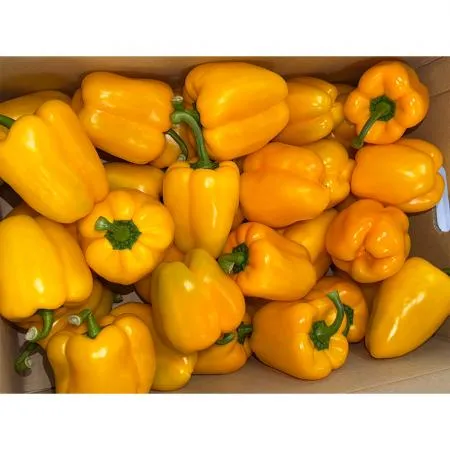노랑파프리카(상 강서청과 176번 5Kg/BOX)
