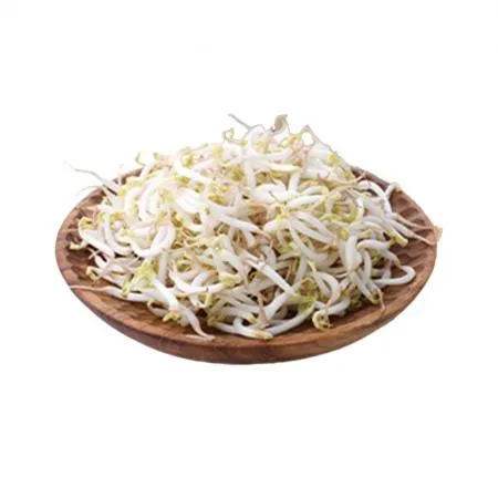 숙주나물(3.5Kg/BOX) 숙주
