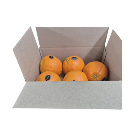 오렌지(당도선별_88과_5입 1Kg/EA)