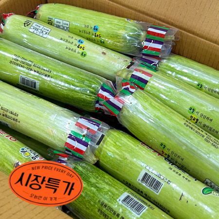 ★매일시장특가★ 애호박(국내산 상 등급_20입/BOX) 초특가 채소 야채 호박