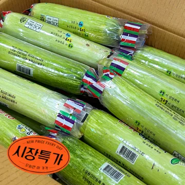★매일시장특가★ 애호박(국내산 상 등급_20입/BOX) 초특가 채소 야채 호박