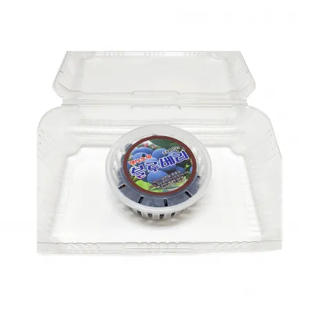 블루베리(100g/EA)