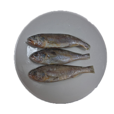 푸른드리 참조기(지느러미_손질_60~80g/마리 KG)