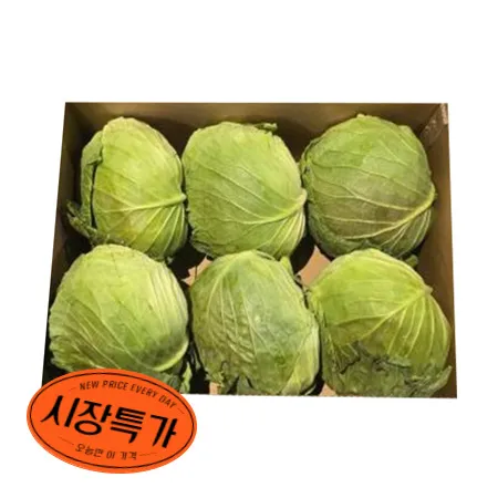 ★매일시장특가★ 양배추 국내산 ( 5~6입 15Kg/BOX) 초특가