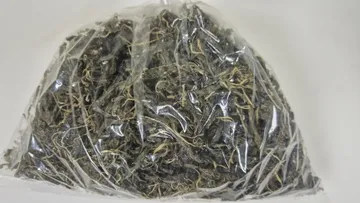 건다래순(200g/EA)