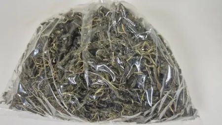 건다래순(200g/EA)