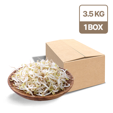 ★초특가★ 숙주나물(3.5Kg/BOX) 숙주